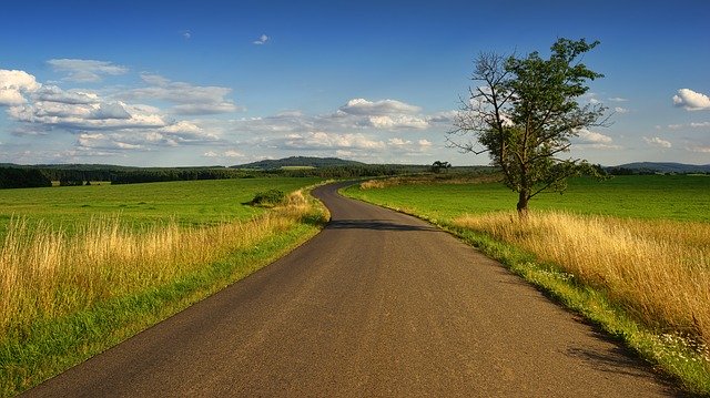 Mezonir 340 wg – innowacyjna formuła do walki z chwastami